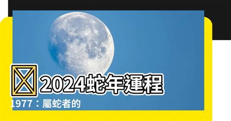 1977屬蛇幸運色2023|1977年属蛇2023年的幸运色